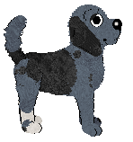 Cargo's Purest Cotton — “Chino”