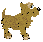 Cargo's Dead Men's Trousers — “Scots”