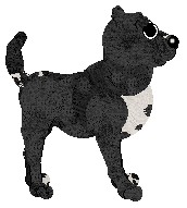 Witz's Fluent Pet — “Hextile”