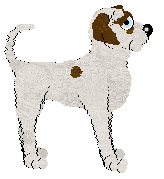 Charmme's Extra Sharp Cheddar at SzK — “Cabot”