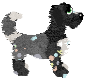 Spellbound The Bunnipocalypse 2025 — “Counterfetti”