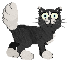 King's Black Tie Style at Perfume — “Tuxedo”