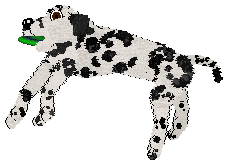 Mockingbird's Rain Came Pouring — “Splash”