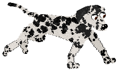 Profile image of Mockingbird's Rain Came Pouring