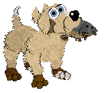 King's A Gentle Pour @ Mockingbird — “Flock”