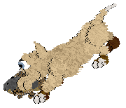 King's A Gentle Pour @ Mockingbird — “Flock”