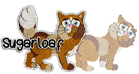 Profile image of Witz/Patchwork's Pineapple Upside Down Cake