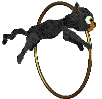 Cyborg's Gone Batty @ Mockingbird — “Batty”