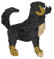 Keena's She Sells Seashells @ Mockingbird — “Seashell”