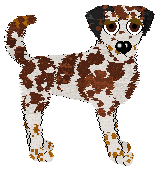 Profile image of Mockingbird's Honey Bunny