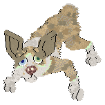 Perfume's Mellowship Slinky — “Pepito”