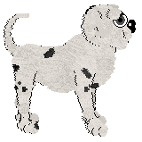 King/Poppyhill's Tough Knut — “Knut”