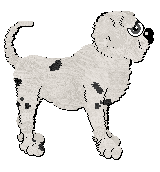 Profile image of King/Poppyhill's Tough Knut