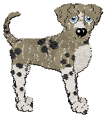 Profile image of Sz/Poppyhill's Lord of Winterfell