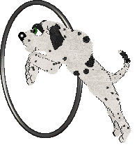 Poppyhill's When It Rains It Pours at Lemonade — “Lichen”