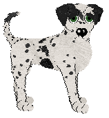 Poppyhill's When It Rains It Pours at Lemonade — “Lichen”