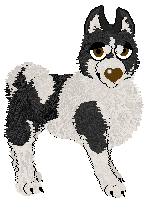 Pachelbel's Licensed Doctor — “Tickled”