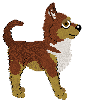 Profile image of Pachelbel's Burning and Scorched