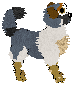 Obzocky's You're Not A Dachie — “Future”