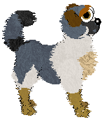 Obzocky's You're Not A Dachie — “Future”