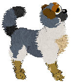 Obzocky's You're Not A Dachie — “Future”