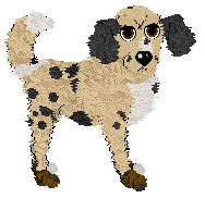 Profile image of Reticulate's Gold and Pearls at Obzocky