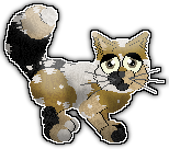 Profile image of Tea/Lyric's Choose To Be Happy