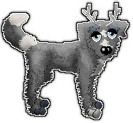 Profile image of Lyric's Fake Water All Across The Road