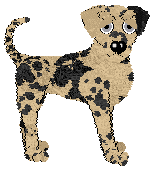 Poppyhill's A Taste Of The Power — “Casperine”