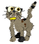 SeaGlass's Mud, Sweat & Tears — “Big Mudd”