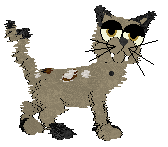 Profile image of SeaGlass's Mud, Sweat & Tears