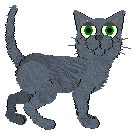 Profile image of NIGHTMOON'z Shimmer Shine