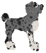 Ferality's Magnavox Odyssey of APK — “Atari”