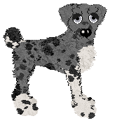 Ferality's Magnavox Odyssey of APK — “Atari”