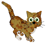 Profile image of Lex/Arrow's Seven Spice