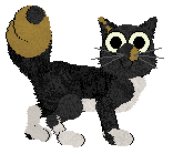 HK/FK's Sharp Shot — “Cortado”