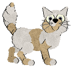 King/FK's When the Stars Fade — “Daylight”