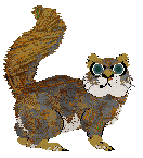 Peachpup/FK's Rage and Frenzy — “Ranguvar”