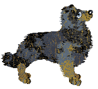 NSP's Sparkly Things at Come Bye — “Jade”