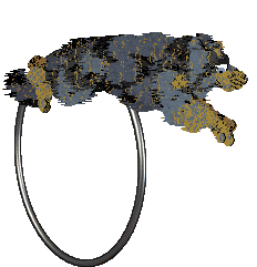 NSP's Sparkly Things at Come Bye — “Jade”