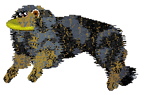 NSP's Sparkly Things at Come Bye — “Jade”