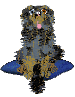 NSP's Sparkly Things at Come Bye — “Jade”