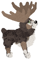 Tuna/Eli's Alces Alces — “Orono”