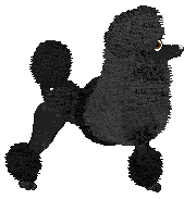 Echelon's Sight to See — “Exmoor”