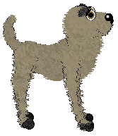 Arrow's Beanstalk — “Twiggy”