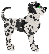 Poppyhill/Eli's A Still Winter Morning — “Hollynose”