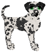 Poppyhill/Eli's A Still Winter Morning — “Hollynose”