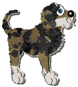 Profile image of Krunchez Mudcat Chucklehead