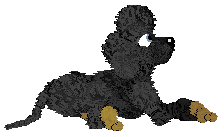 Arrow's Adobe Bricks — “Mud”