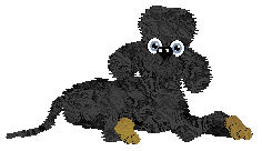 Profile image of Arrow's Adobe Bricks